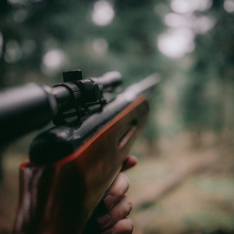 The Thrill of the Hunt